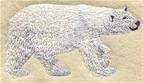 Polar Bear Walking